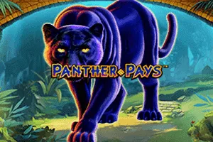 Panther Pays - BEERSLOT365