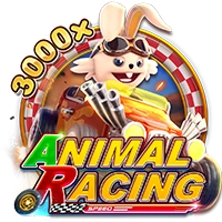 ANIMAL RACING - BEERSLOT365