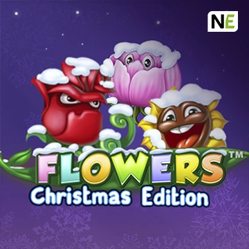 Flowers Christmas Edition - BEERSLOT365