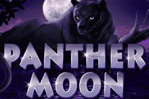 Panther Moon - BEERSLOT365