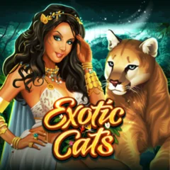 Exotic Cats - BEERSLOT365
