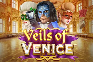 Veils of Venice - BEERSLOT365