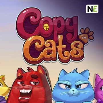 Copy Cats - BEERSLOT365