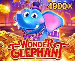 Wonder Elephant - BEERSLOT365