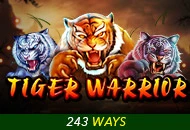 Spadegaming : Tiger Warrior - BEERSLOT365