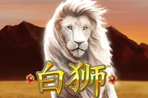 Bai Shi - BEERSLOT365
