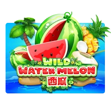 Wild Watermelon - BEERSLOT365