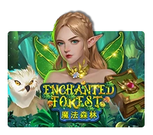 Enchanted Forest - BEERSLOT365
